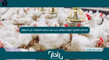 «أسعار الفراخ» اليوم انخفاض جديد هل تستمر التراجعات في السوق؟
